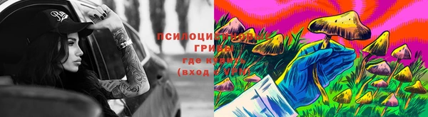 спайс Арсеньев