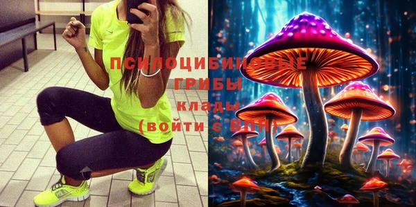хмурый Армянск