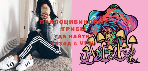 хмурый Армянск