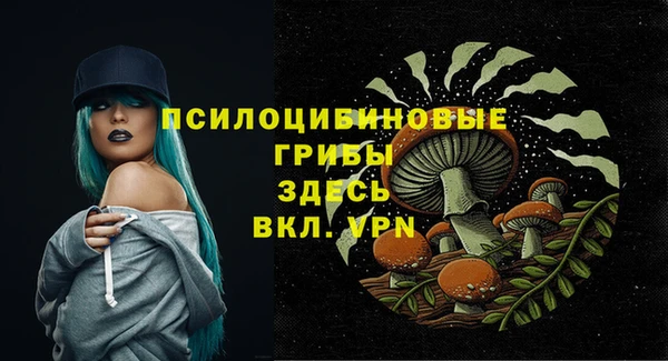 хмурый Армянск