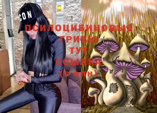 спайс Арсеньев