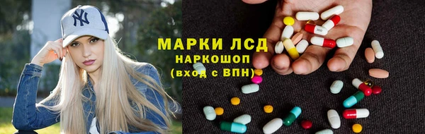 спайс Арсеньев