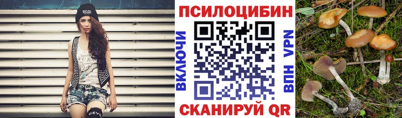 Псилоцибиновые грибы Psilocybine cubensis  как найти закладки  Рыбное 